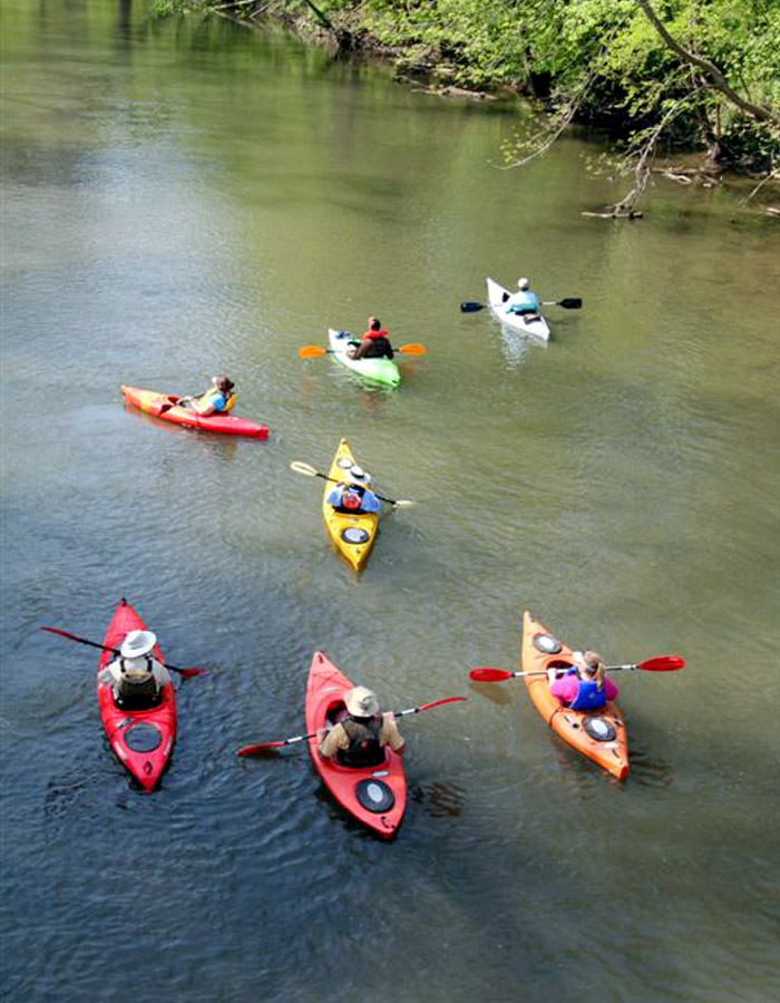 Mohican Wildlife Weekend In a (Buckeye) Nutshell