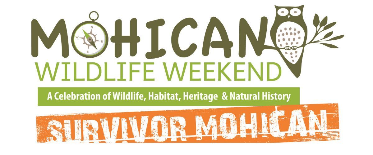 Mohican Wildlife Weekend In a (Buckeye) Nutshell